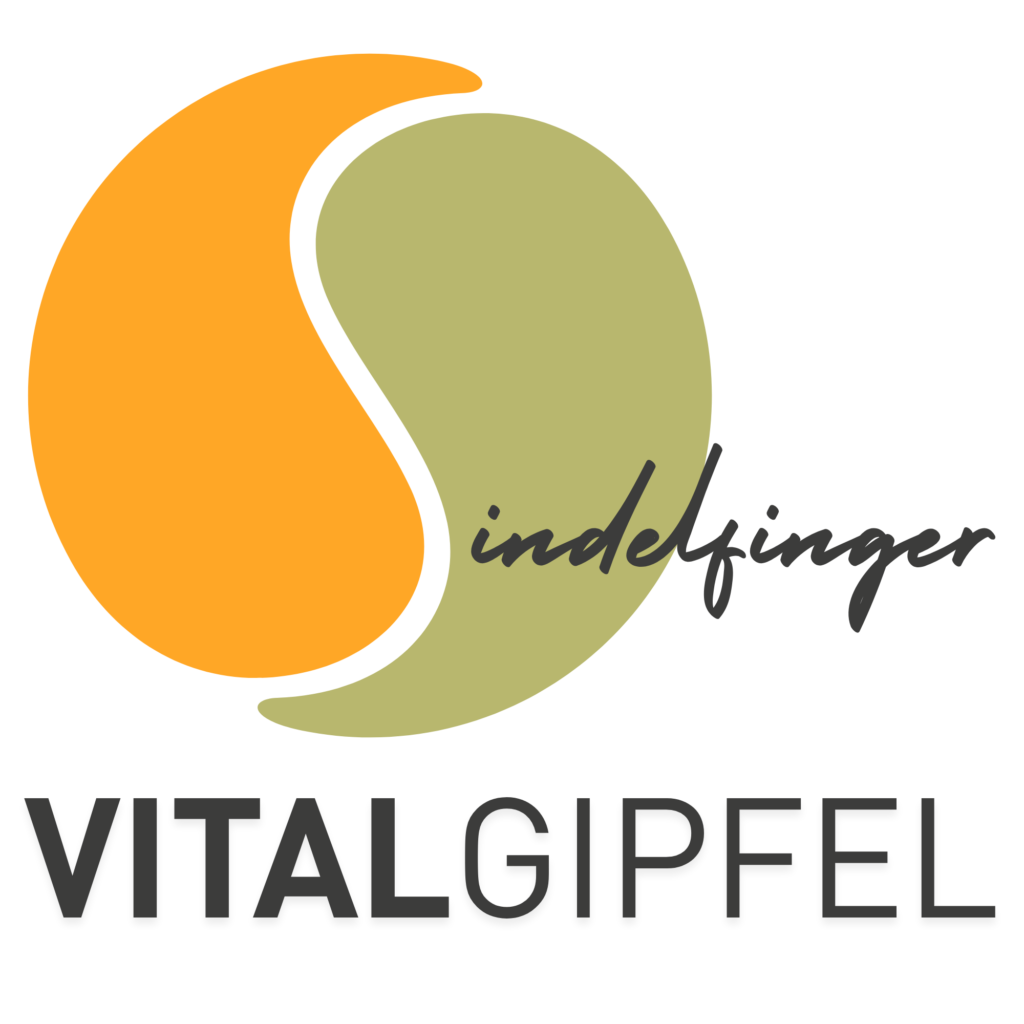 Vitalgipfel Logo color 1